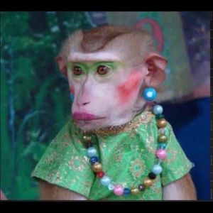 Meet your Posher, Jeanette